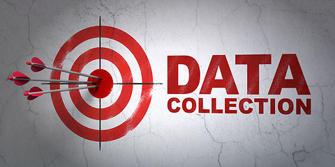 Image showing Information concept: target and Data Collection on wall background