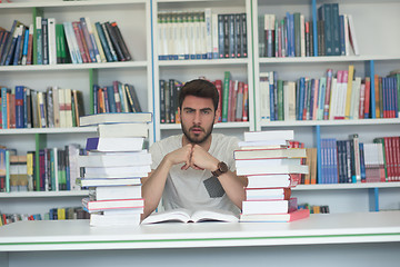 Image showing student study  in school library