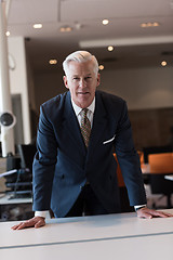 Image showing portrait of handsome senior business man at modern office