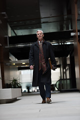 Image showing handsome senior business man walking