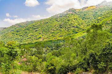 Image showing slope of a mountain in Vietnam