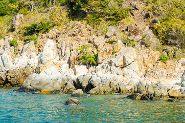 Image showing Rocky shore 1