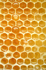 Image showing Honeycomb close up