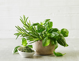 Image showing fresh and dried herbs