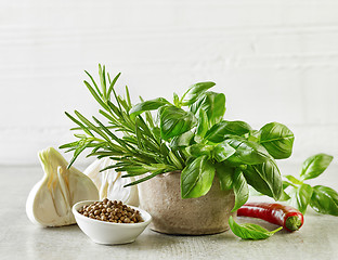 Image showing fresh herbs and spices