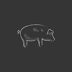 Image showing Pig. Drawn in chalk icon.
