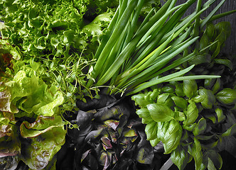 Image showing various green vegetables