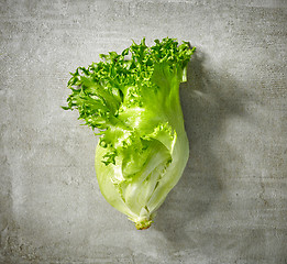 Image showing fresh green lettuce 