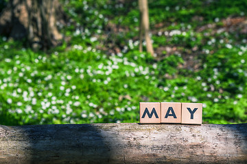 Image showing May spring sign in a green garden