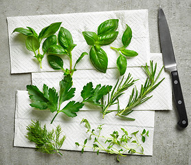 Image showing various fresh herbs