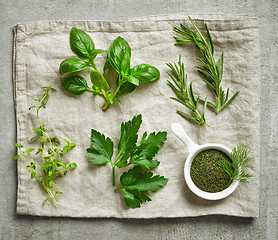 Image showing various fresh herbs