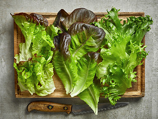 Image showing various kinds of lettuce