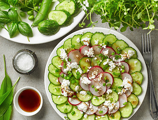 Image showing cucumber and radish carpaccio with fresh cheese