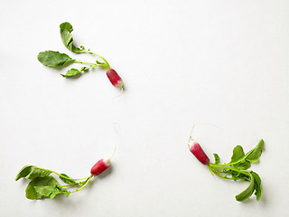 Image showing fresh raw radish