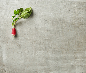 Image showing fresh raw radish on gray kitchen table