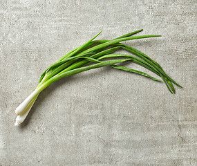 Image showing green spring onions on gray stone background