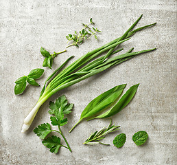 Image showing green herbs on gray stone background