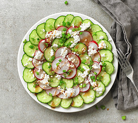 Image showing Plate of cucumber and radish salad