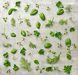 Image showing fresh green leaves on gray background