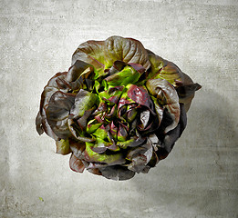 Image showing fresh purple lettuce