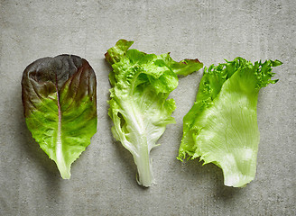 Image showing various kinds of lettuce