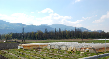 Image showing landscape greenhouse