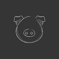 Image showing Pig head. Drawn in chalk icon.