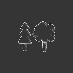 Image showing Trees. Drawn in chalk icon.