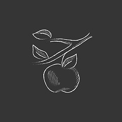 Image showing Apple harvest. Drawn in chalk icon.