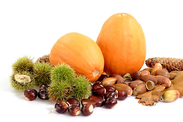Image showing Autumnal Fruits