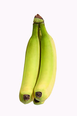 Image showing Green Bananas