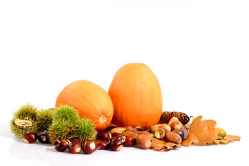Image showing Harvest Decoration