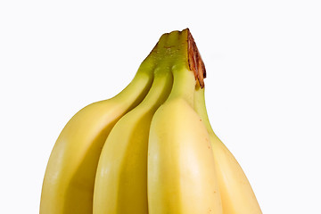 Image showing Ripe Bananas