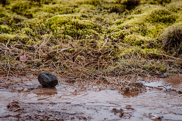 Image showing Lava rock in a stream