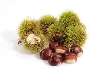 Image showing Ripe Sweet Chestnuts