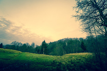 Image showing Green fields by a forest