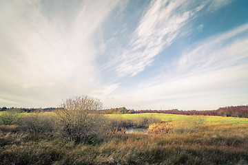 Image showing Green field landscape in autumn