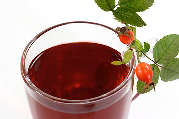 Image showing Rosehip Tea