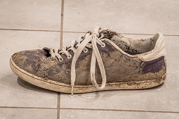 Image showing Dirty shoe with white laces