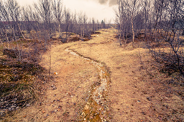 Image showing Dry river stream with pebbles