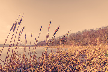 Image showing Sunset over a frozen lake