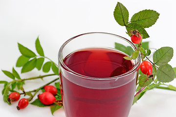 Image showing Tea of Rosehips