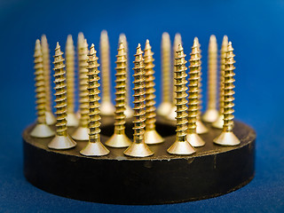 Image showing Screws at Magnet