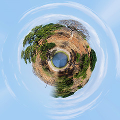 Image showing little planet of Chobe river Botswana