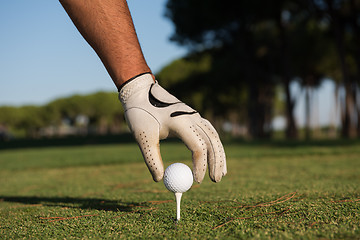 Image showing close up of golf players hand placing ball on tee