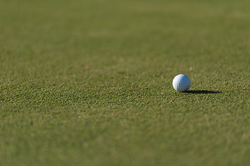 Image showing golf ball on grass