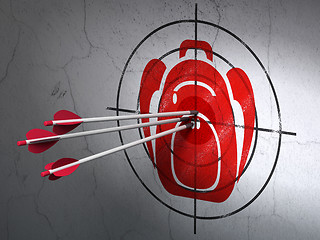 Image showing Learning concept: arrows in Backpack target on wall background