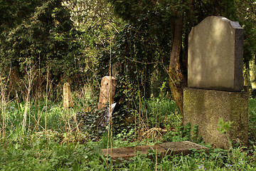 Image showing Cementery