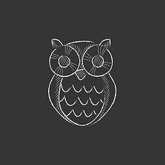 Image showing Owl. Drawn in chalk icon.