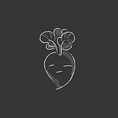 Image showing Beet. Drawn in chalk icon.